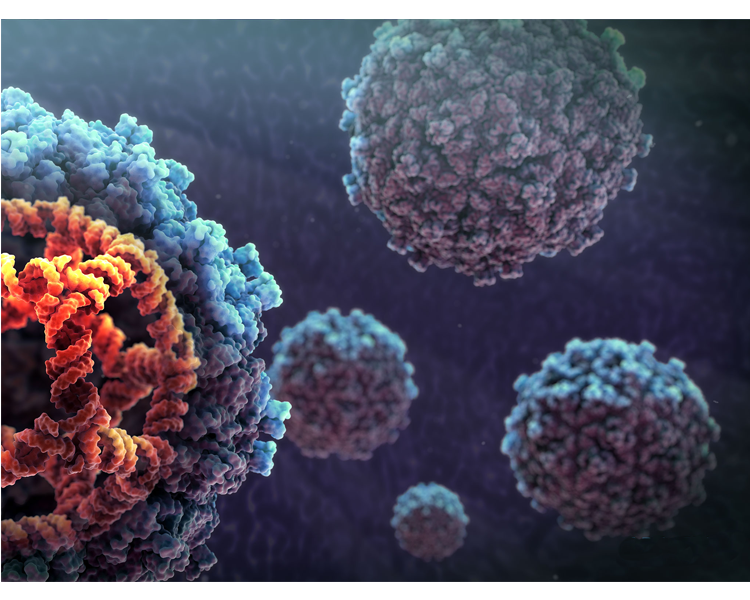 Welcome to our scientifical site